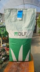DLF ESQUIRE Lolium Perenne Çim Tohumu 18 Kg