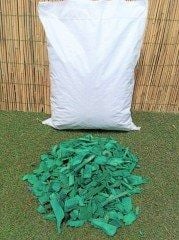 Renkli Ağaç Yongası Yeşil Renkli