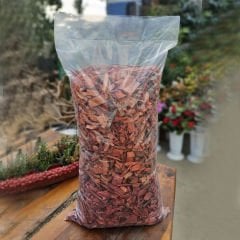 Renkli Ağaç Yongası Turuncu Renkli